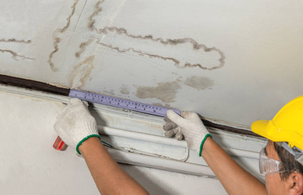 Reliable Mold Remediation contractor in Springville, UT by Water Damage Irwin